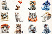 Selkirk Rex Cat Clipart, an Illustration by DreamCafeArt (Thumbnail 3 of 5)