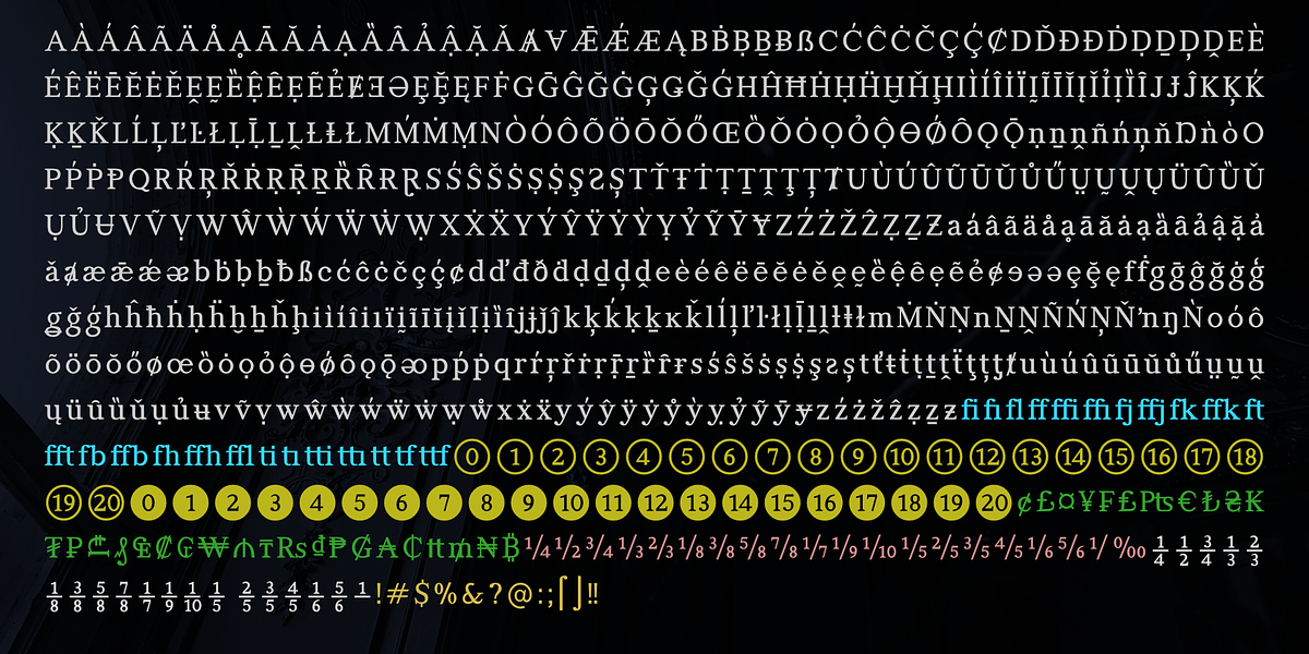 Manas VF, a Serif Font by Fontuma (Photo 10 of 12)