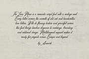 The Lone Muse Romantic Script Font, a Script Font by AnMark (Thumbnail 3 of 11)