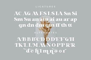 Glaure Vintage Serif Font