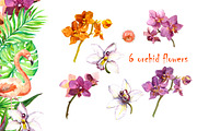 Exotic flowers watercolor clipart, an Animal Illustration by Where summer is (Thumbnail 3 of 7)