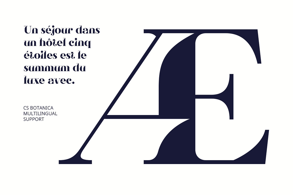 CS Botanica – Elegant Font, a Serif Font by Craft Supply Co. (Photo 5 of 8)