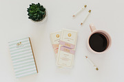 Champagne & Chocolate Collection, a Photo by The Social Esthete (Thumbnail 8 of 10)