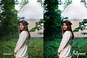 Tallgrass Photoshop Action, an Action Add-On by Presetrain Co. (Thumbnail 4 of 5)