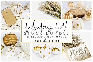 Fall Pumpkin Stock Image Bundle