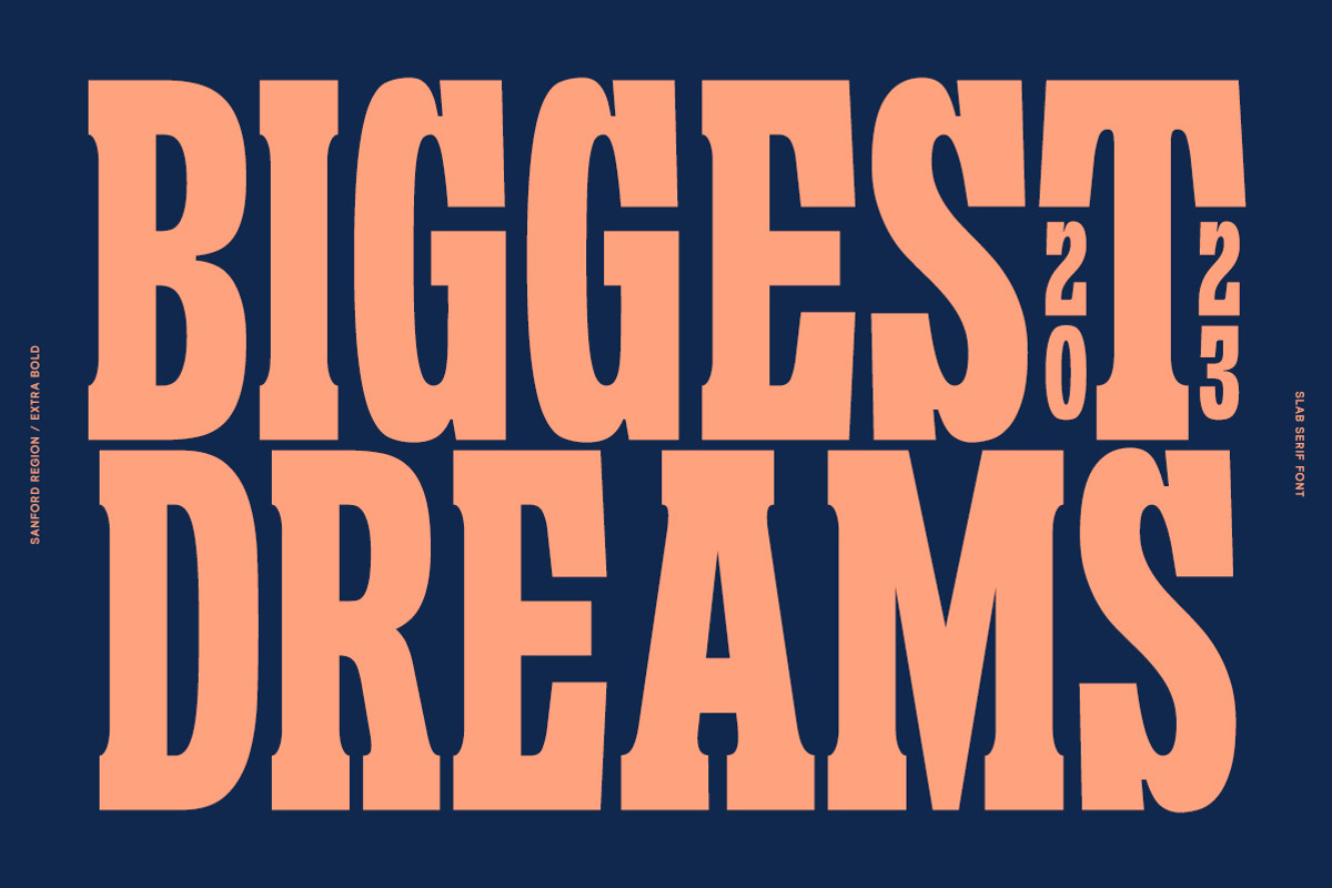 Sanford Region - Variable Font, a Slab Serif Font by Letterhend Studio (Photo 3 of 11)