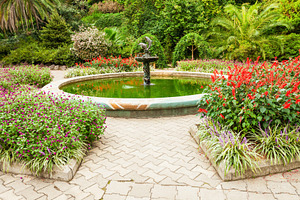 Batumi Botanical Garden, a Photo by saiko3p