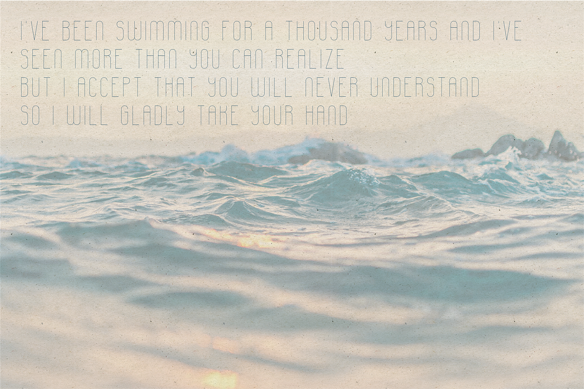 Whale Quirky Display Sans Serif preview 5