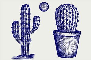 Prickly Cactus