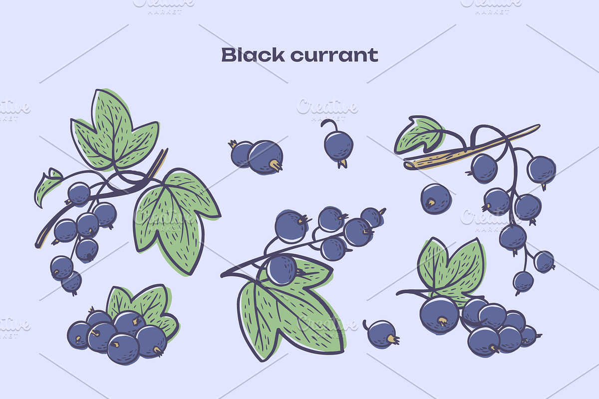 Berries Vector Illustration Pack, an Illustration by Castula (Photo 7 of 17)
