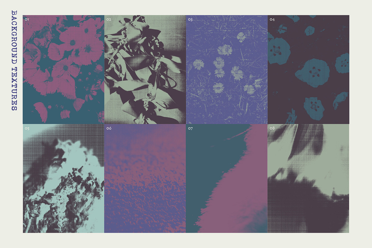 Printed Botanical Graphics, an Object Graphic by Neatly Made Studio (Photo 12 of 17)