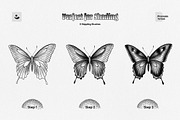 Procreate Stipple Brushes, a Brush Add-On by pixelbuddha.net (Thumbnail 4 of 6)