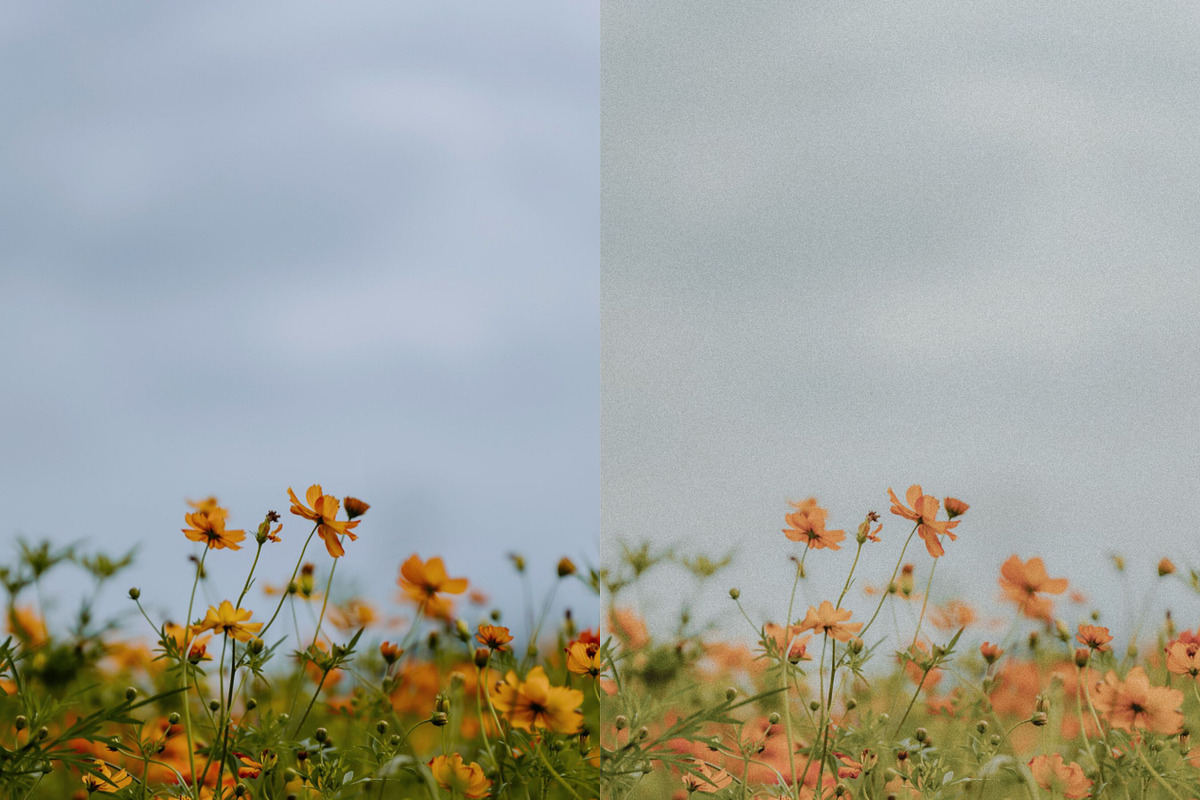 Vintage Film Lightroom Presets, a Preset Add-On by PixaSquare (Photo 7 of 9)