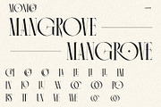 Monico Display Font, a Serif Font by Eotype Studio (Thumbnail 10 of 11)