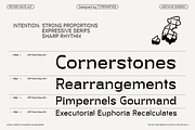Fever Days Alt - Raw Serif Font, a Serif Font by Typeparties (Thumbnail 4 of 8)