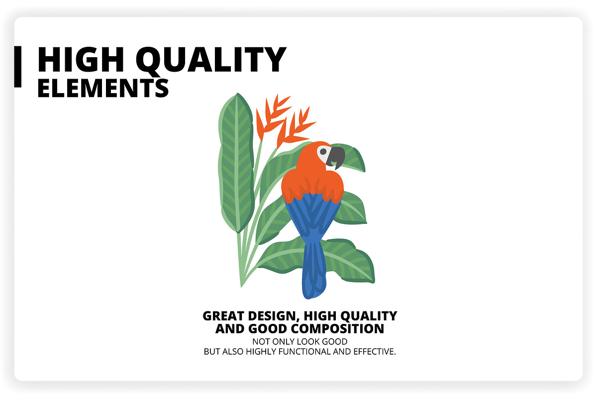 36 Tropical Elements + 12 Patterns, an Object Graphic by monkik (Photo 11 of 11)