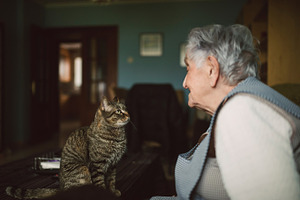 Elderly woman and cat featuring cat, woman, and elderly