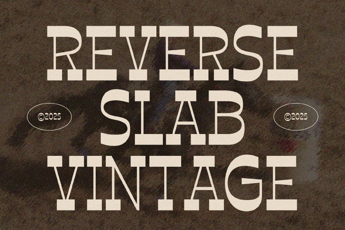 Broanse, a Slab Serif Font by graphicook (Photo 2 of 10)