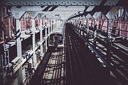 La Tuna Lightroom Preset, a Preset Add-On by Lightroom Presets (Thumbnail 1 of 4)