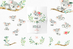 Koala. Watercolor Collection