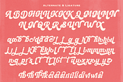 Mantige - Chunky Retro Font, a Serif Font by Pandeka Studio (Thumbnail 11 of 13)
