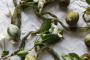 Easter celebration flat lay. Stylish green easter eggs, flowers,, a Holiday Photo by Sonjachni