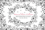 Black and White Botanical Collection, an Illustration by TanataDesign (Thumbnail 1 of 8)