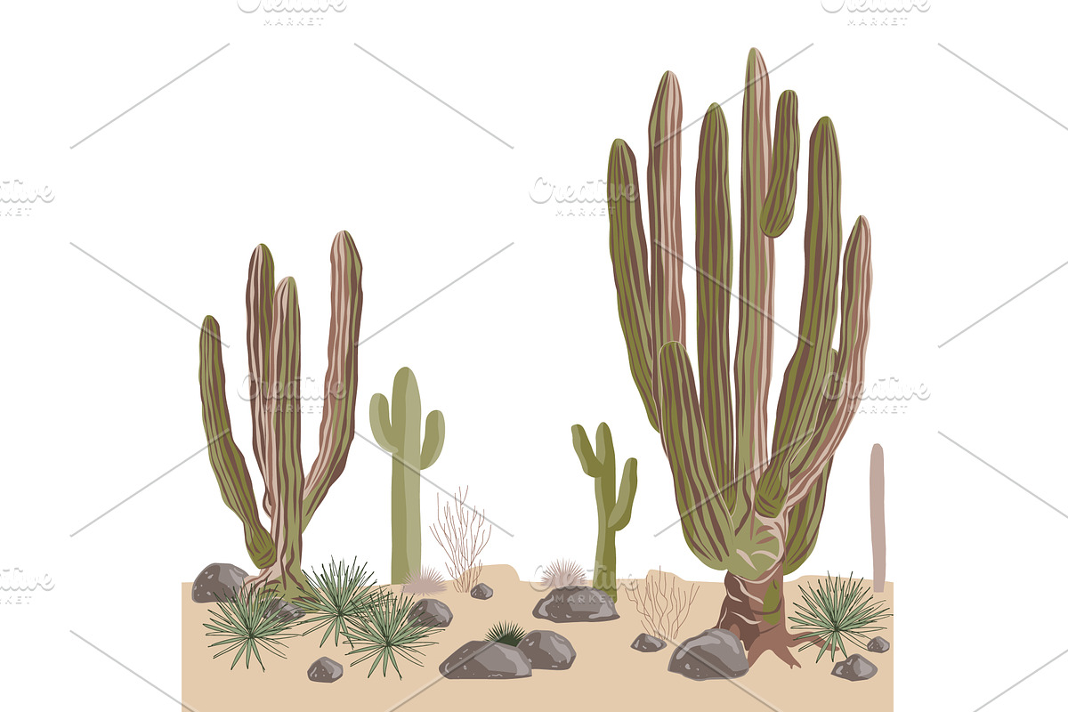 Desert seamless pattern with saguaro, an Animal Illustration by Toltemara