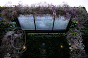A Garden of Roses | Wedding, Events, a Nature Photo by Farewell (Thumbnail 15 of 41)