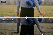 Bleach Bypass Video LUTs, a Preset Add-On by CineMart (Thumbnail 7 of 10)