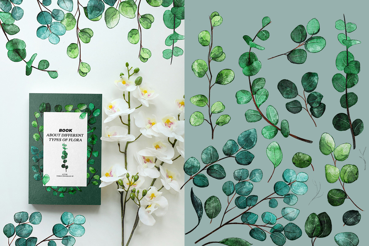 Watercolor Eucalyptus set, an Object Graphic by KlymchukArtworks (Photo 5 of 10)