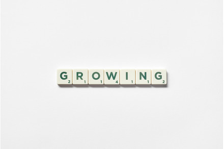 Growing formed of scrabble blocks on, a Business Photo by Yaroslav Danylchenko