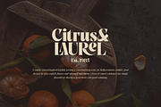 SALE! Golden Tales Serif Collection, a Serif Font by VP Fonts (Thumbnail 20 of 23)