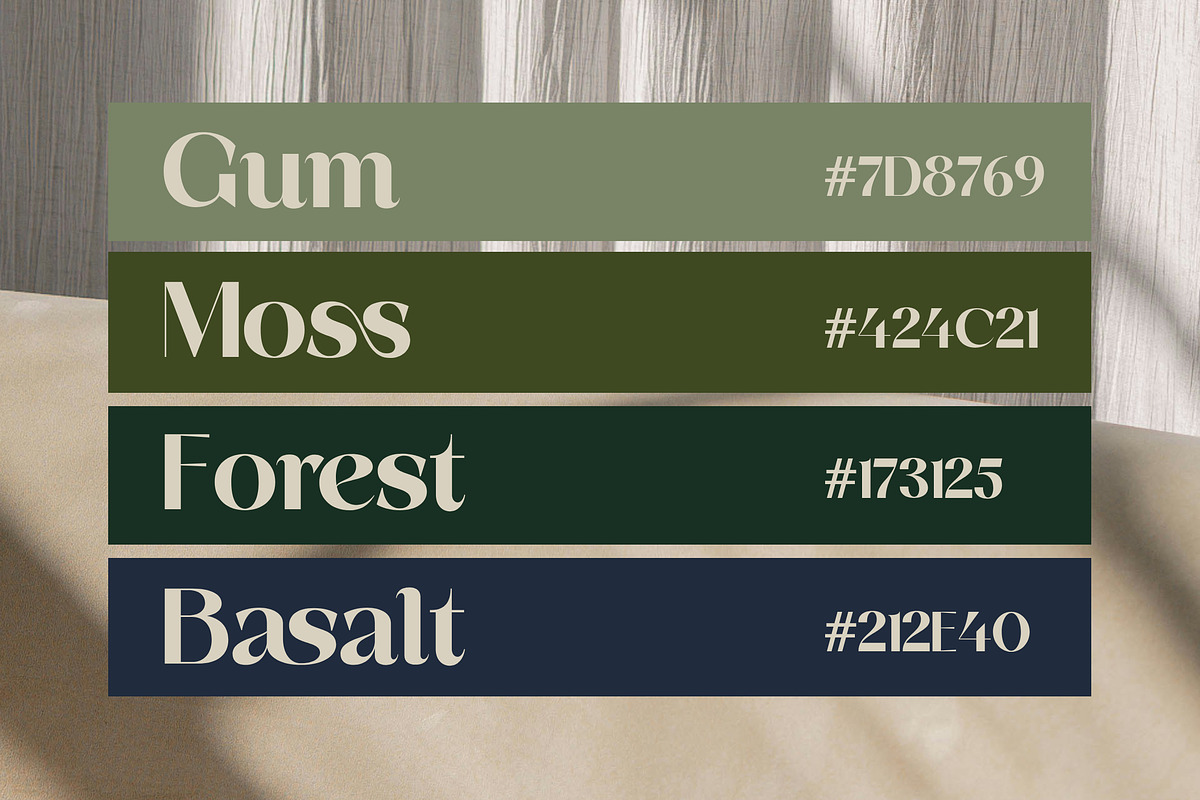 Basken Typeface, a Sans Serif Font by Megatype (Photo 6 of 11)