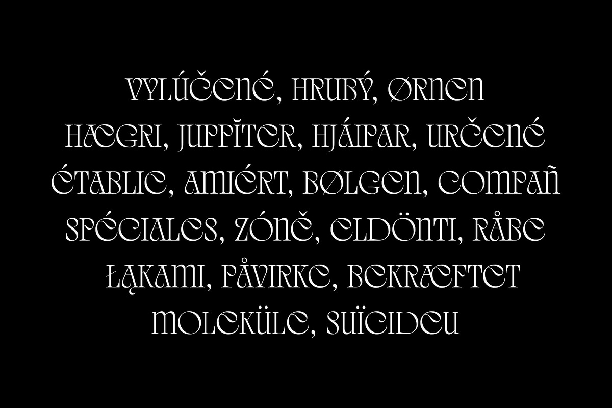 Quelia - Organic Display Font, a Serif Font by Piotr Łapa (Photo 10 of 12)