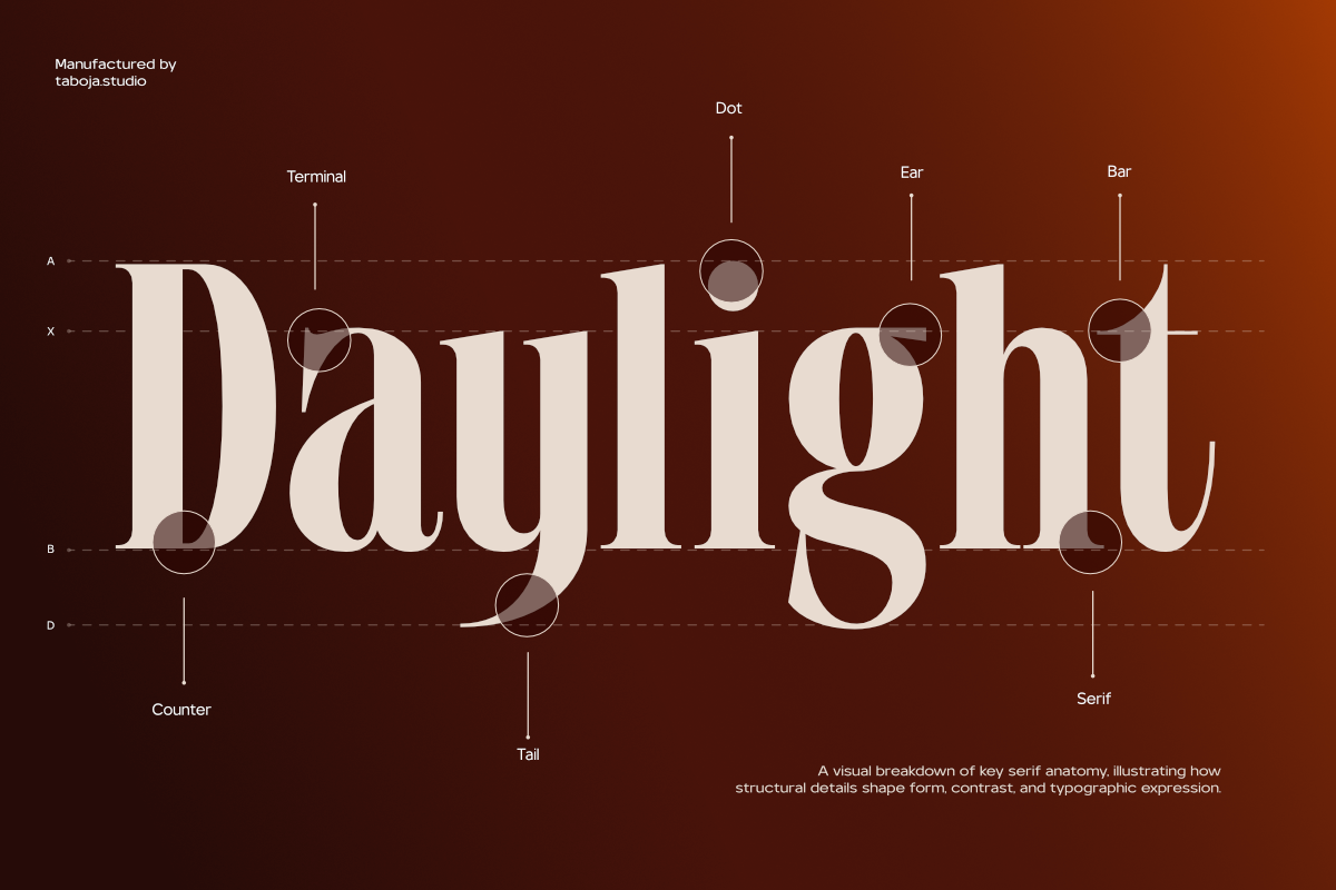 TBJ Valmist Elegant Modern Serif, a Serif Font by Taboja Studio (Photo 3 of 15)