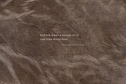 Vestige II · Organic Backgrounds, a Background Graphic by alonahaidash (Thumbnail 15 of 16)