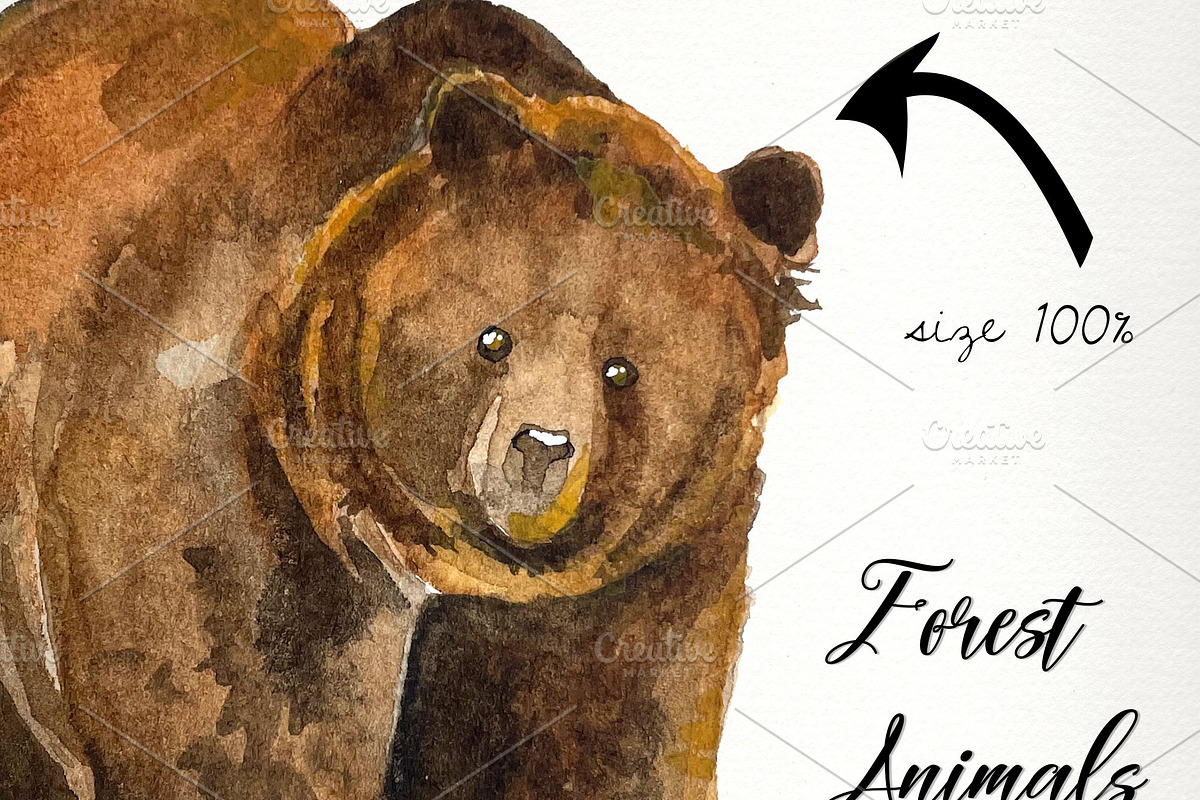 Forest animals watercolor clip art, an Animal Illustration by SandraGraphicDesign (Photo 4 of 5)