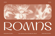 Romns Font Family, a Sans Serif Font by Aiyari (Thumbnail 1 of 13)
