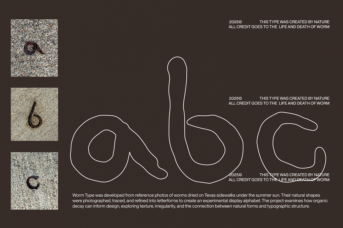 Worm Type, a Handwritten Font by Weird Friends (Photo 4 of 7)