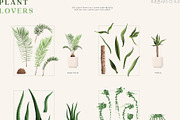 Plant Lovers Collection, a Texture Illustration by Julia Dreams (Thumbnail 10 of 12)