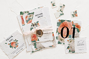 Blush & White Rose Wedding Suite, an Invitation Template by BlueRobinDesignShop (Thumbnail 7 of 15)