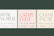 ABRAMO// Modern Font Duo, a Serif Font by PeachCreme (Thumbnail 3 of 16)