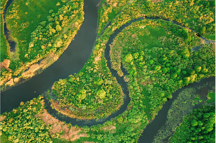 Aerial View Green Forest Woods And, a Nature Photo by Our Amazing World