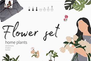 Flower collection, home plants