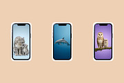 Wild Icons. Animals parents., an Animal Photo by AI Petr Creative Agency (Thumbnail 6 of 7)