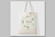 Gypsophilia Flowers Clipart, a Decorative Illustration by LeCoqDesign (Thumbnail 3 of 5)