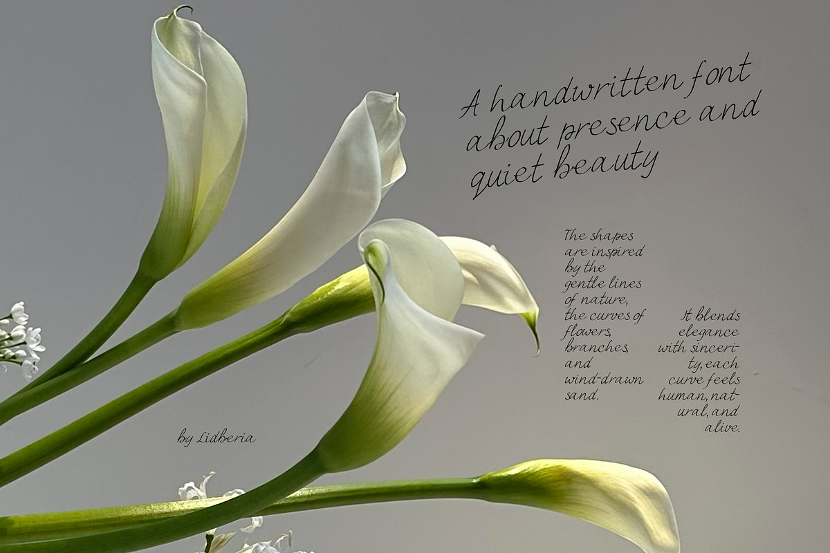 Between Lines Handwritten Font, a Handwritten Font by Lidberia (Photo 2 of 7)