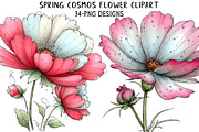 Spring Cosmos Flower Clipart, an Illustration by Daily.Designs (Thumbnail 1 of 8)
