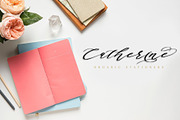 Authumn Sofia | Calligraphy Font, a Script Font by Analogous (Thumbnail 6 of 16)